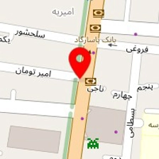 پیتزا میامی