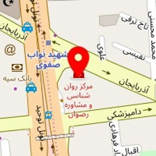 فست فود پارسینا