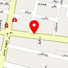 فلافل دکتر پیتزا