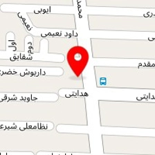 پیتزا ایتالیایی ونیز