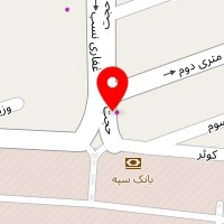 پیتزا وساندویچ امین