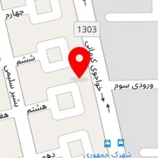 فلافلی میلاد