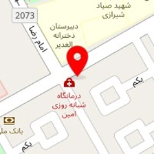 پیتزا پانیذ