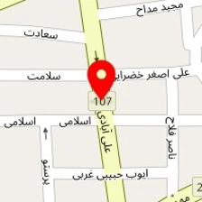 پیتزا ساندویچ تاپ برگر