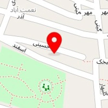 پیتزا امیر دادا