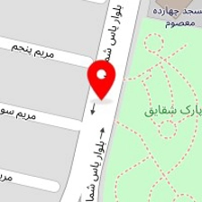 پیتزا ساندویچ ترنج