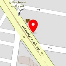 فست فود پیلوت