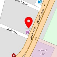 فست فودفلاویچ