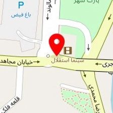 فست فود پدیده