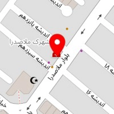 آقای هات داگ