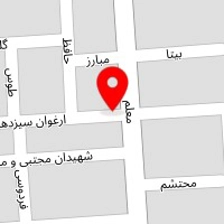 یکبار مصرف گلنار