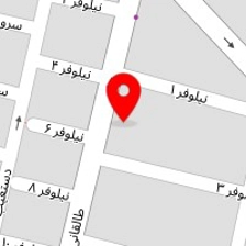 پلاسکو مرتضی قرقانی