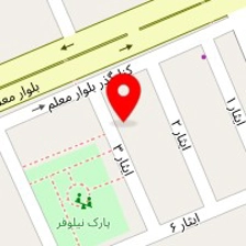 ظروف یکبار مصرف حجة ابن الحسن (عج)