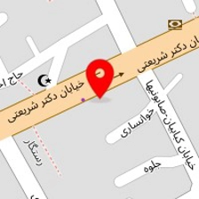 شاخه نبات