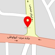 شیرینی سرای شاخه نبات