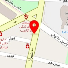 شیرینی فروشی دیلمون