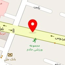 شیرین عسل شعبه فردوسی