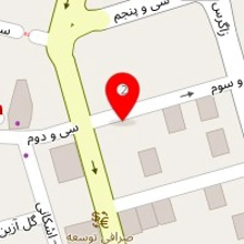 شیرین عسل گاندی