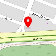 پیتزا ساندویچ کاکتوس