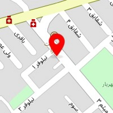 فست فود دومینو