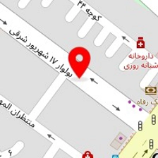 برگرهای تخصصی لاویا