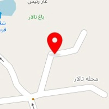 پیتزا تالار برگر نیاسر