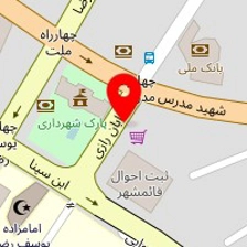 پیتزا همبرگر نایس