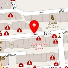 کانال برگر