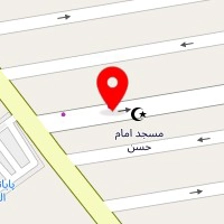 فلافل روژین
