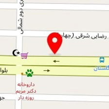 پیتزا گندم