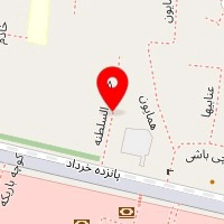 فست فود نمونه بازار