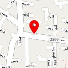 پیتزا آلونک