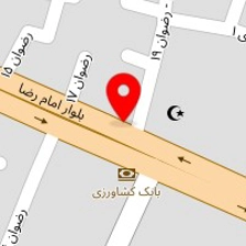 خدمات صوتی و تصویری تسلا