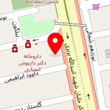 ملی سرویس ایرانیان