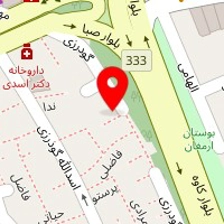 پلاسکو امیر