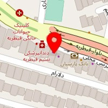 تصویربرداری پزشکی نسیم
