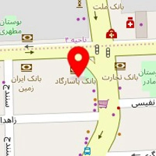 چدنیت صدر