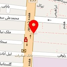 کارگاه فنی سرعتی