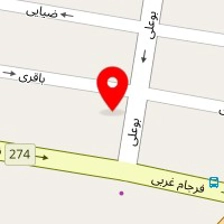 ستاره طلایی ایرانیان