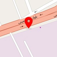 ضایعاتی هادی