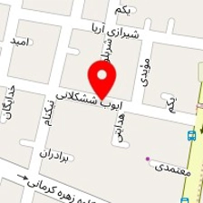 پیچ ومهره پارس