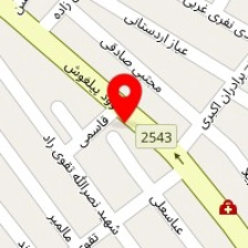 راین استیل