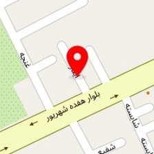 هوشمند گستران رعد