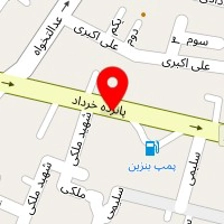 سیستم های امنیتی ایمن گستر