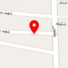 آهن وفولاد امیر