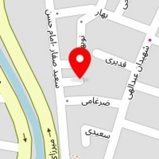 پمپ لئو