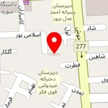 امیر
