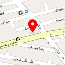 فروشگاه اسنوا پیغمبری