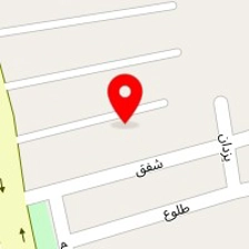 کارگاه حسنی