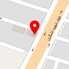 شرکت یگانه پردازشگر پیشرو